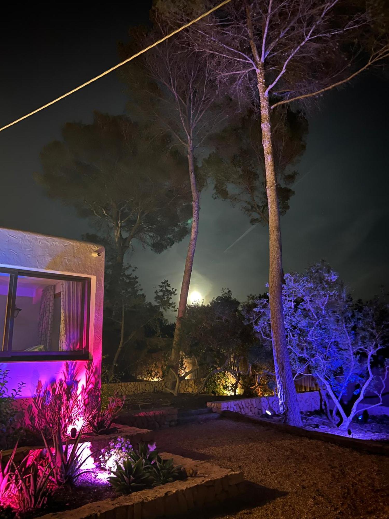 Spacious & Luxury Villa In Ibiza - Santa Gertrudis - Villa Chiquita Exterior foto